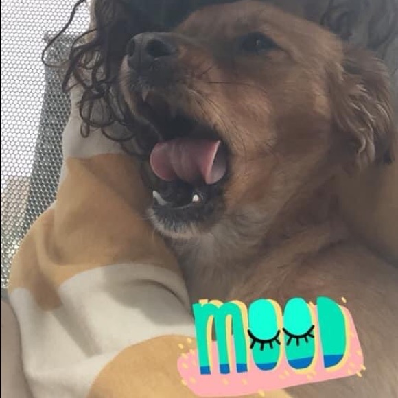 Aerie striped pullover sweater - Picture 11 of 13